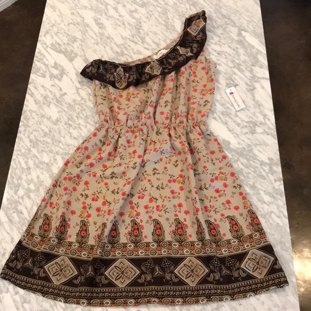 Blu Pepper, brown, one shoulder dress size small